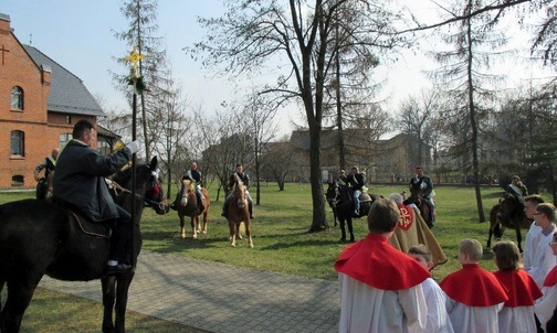 Krzyżoki znów jadą