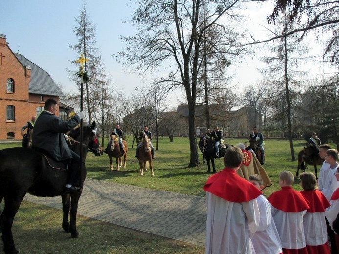 Krzyżoki znów jadą