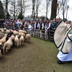 Sezon pasterski czas zacząć 