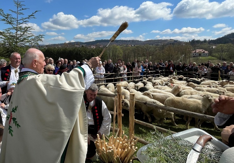 Beskidzka inauguracja sezonu pasterskiego w Rychwałdzie