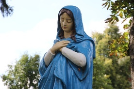 Figura Matki Bożej przed kościołem parafialnym w Siecieniu k. Płocka.