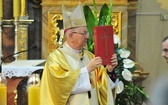 Pielgrzymka Rodzin Archidiecezji Lubelskiej do sanktuarium św. Józefa w Lublinie 
