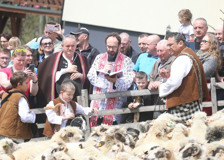 Owce pobłogosławił ks. Grzegorz Tomaszek. 