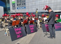 Katowice. Manifestacja w obronie jeży. Bez haseł i megafonów, ale z orkiestrą