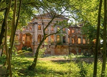 Pałac w Sławikowie przetrwał II wojnę światową.  Do ruiny doprowadziła go polityka PRL.