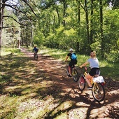 Puszcza jest bardzo atrakcyjna turystycznie. Ma gęstą sieć 360 km szlaków pieszych  i 145 km rowerowych.