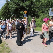 Pątników z Malużyna przez ok. 3 km odprowadzał proboszcz, opowiadając o historii parafii i kościoła.