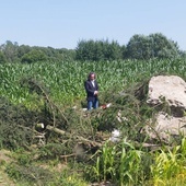 Zniszczono kolejny pomnik na mogile żołnierzy AK na Białorusi