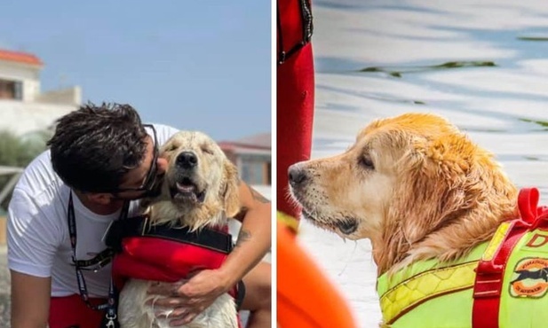 Dwa psy ratownicy uratowały pięcioro tonących