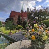Sierpniowe piękno w sercu Wrocławia