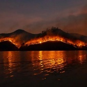 Francja: Aresztowano 25 osób podejrzanych o podpalenia lasów i pól