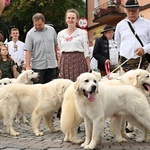 53. Międzynarodowy Festiwal Folkloru Ziem Górskich