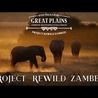 GREAT PLAINS | Project Rewild Zambezi