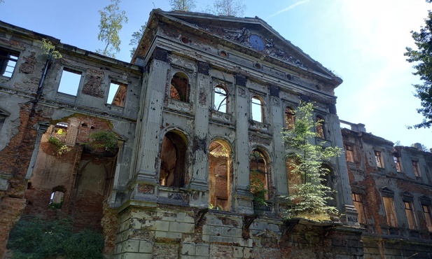 Ruiny Pałacu w Sławikowie