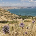 Galilea, widok na Kafarnaum  i Jezioro Tyberiadzkie
