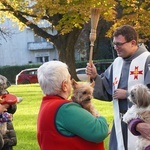 Błogosławieństwo zwierząt w dzień św. Franciszka z Asyżu