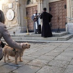 Błogosławieństwo zwierząt w dzień św. Franciszka z Asyżu