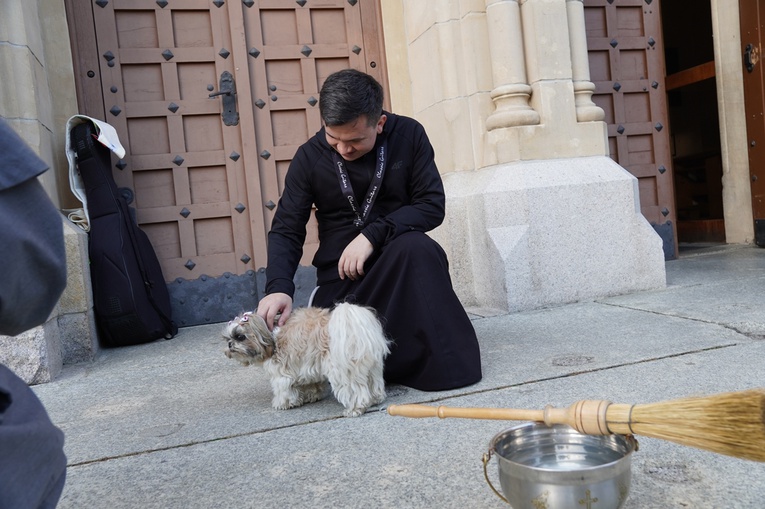 Błogosławieństwo zwierząt w dzień św. Franciszka z Asyżu