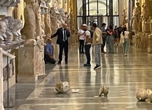 Turysta rozbił dwa antyczne popiersia w Muzeach Watykańskich