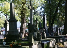 W Lublinie obok starych cmenatrzy planowana jest nowa nekropolia.