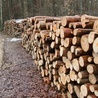 Niemcy: Branża drzewna w kryzysie