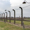 Śledztwa ws. oprawców z niemieckich obozów koncentracyjnych "spóźnienie o 30, 40 lat"