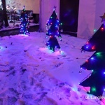 W Świdnicy wybrali najładniejsze świąteczne dekoracje