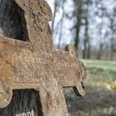 Porządkowanie cmentarza w Koziej Górze