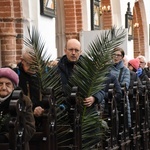 Niedziela Palmowa w archikatedrze oliwskiej 2023