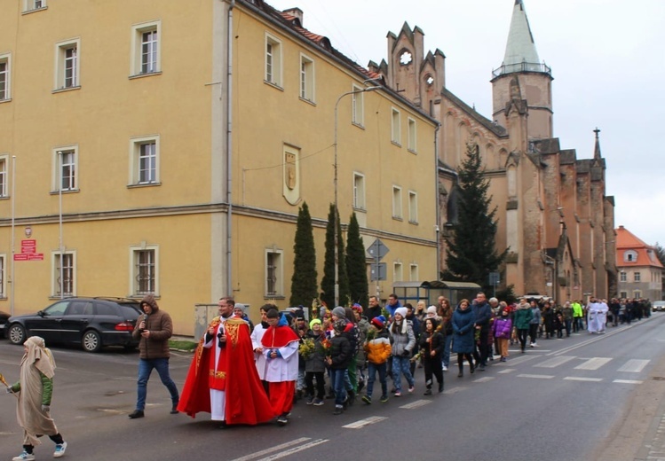 Świerzawa. Niedziela Palmowa