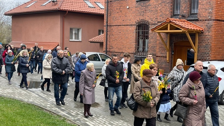 Niedziela Palmowa w diecezji świdnickiej