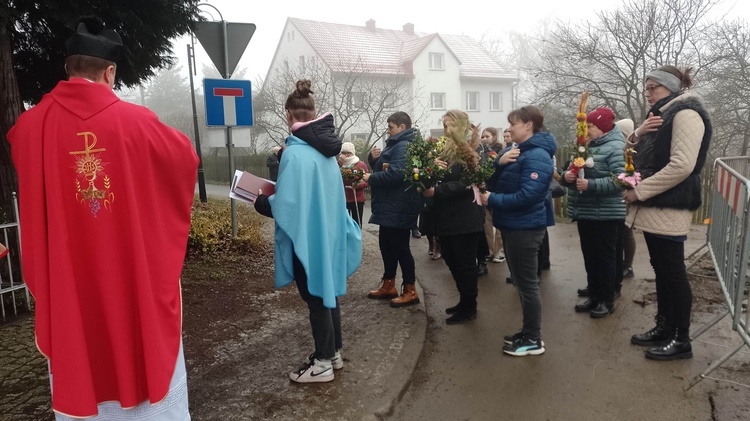 Niedziela Palmowa w diecezji świdnickiej