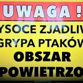 Śląskie. Powiaty raciborski, rybnicki i wodzisławski obszarami zagrożonymi wysoce zjadliwą grypą ptaków