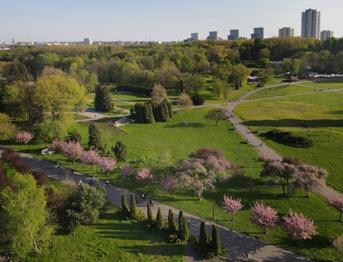 Wiosna w parku chorzowskim