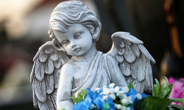Rzecznik rządu: sprawa śmierci ośmioletniego Kamilka wymaga bardzo dogłębnego zbadania