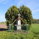 Worowice (parafia Daniszewo)