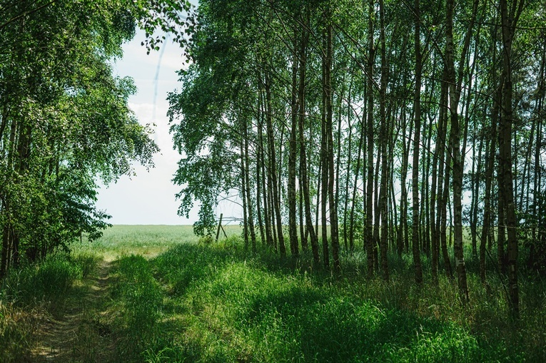 Klaretyńskie Dni Młodych w obiektywie