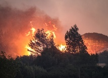 Portugalia: Co najmniej 13 rannych w pożarze lasów i łąk pod Lizboną