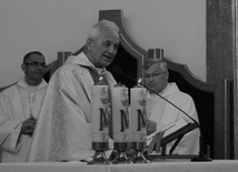 Ks. prałat Franciszek Płonka podczas Mszy św. dla duszpasterstwa rodzin w 2015 r.