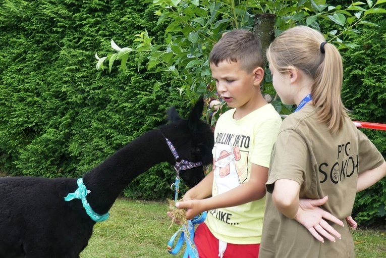 Piknik parafialny w Międzybrodziu Bialskim - 2023