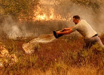 Portugalia: 22 rannych w pożarach łąk i lasów
