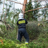 PSP: 620 interwencji związanych z burzami i opadami przechodzącymi nad Polską