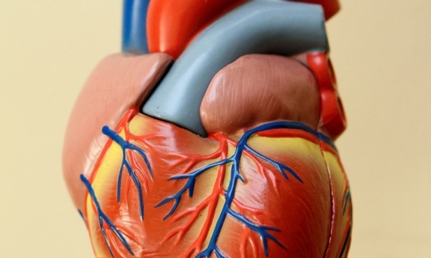 Odkryto nowe genetyczne warianty szkodzące sercu