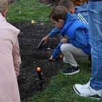 Akcja charytatywna Pola Nadziei w Dzierżoniowie 