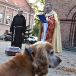 Błogosławieństwo zwierząt w Nowej Soli