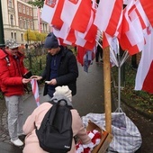 Narodowe Święto Niepodległości Kraków 2023 cz. 2