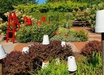 Biel i czerwień zdominowała ogrody Kapias