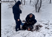 Strzelanina we Wrocławiu. Zatrzymany postrzelił dwóch policjantów