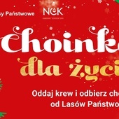 Oddaj krew i odbierz choinkę