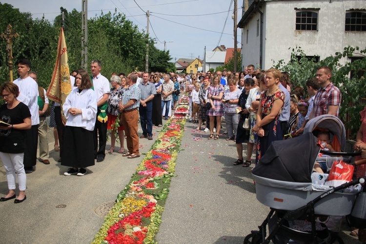 Tradycja kwietnych dywanów na Boże Ciało w Kluczu, Olszowej, Zalesiu Śląskim i Zimnej Wódce